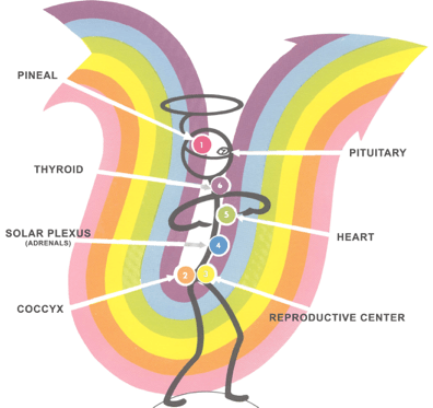 Chakras