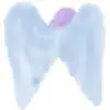 Spiritual Pilgrim logo