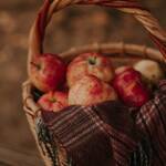 a selective focus on apples in a basket